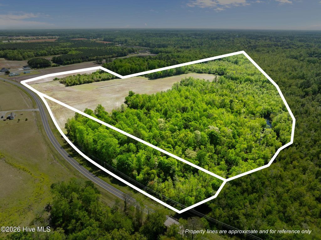 Photo of 999999999 W Faison Mcgowen, Kenansville, NC 28349 (MLS # 100567190)