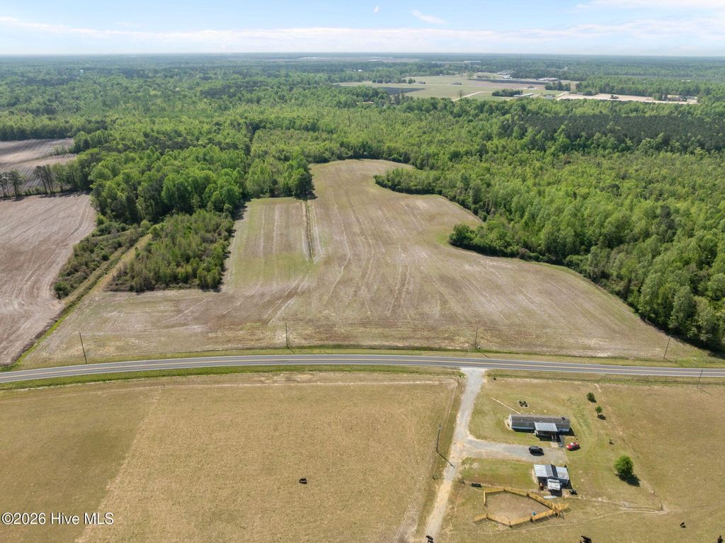 Photo of 999999999 W Faison Mcgowen, Kenansville, NC 28349 (MLS # 100567190)