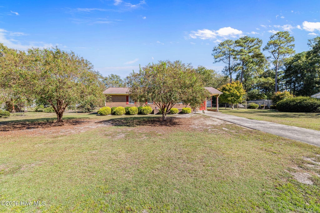 Photo of 100 Jill Street, Dudley, NC 28333 (MLS # 100609109)