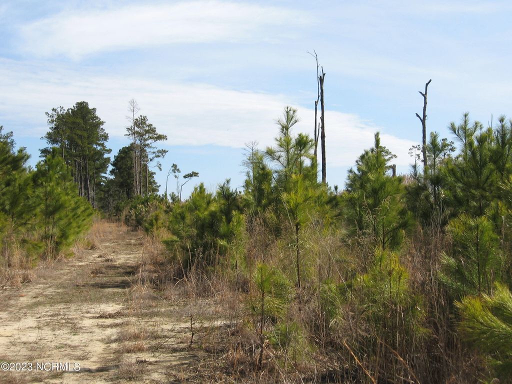 Photo of 4161 Caratoke Highway, Barco, NC 27917 (MLS # 100571530)