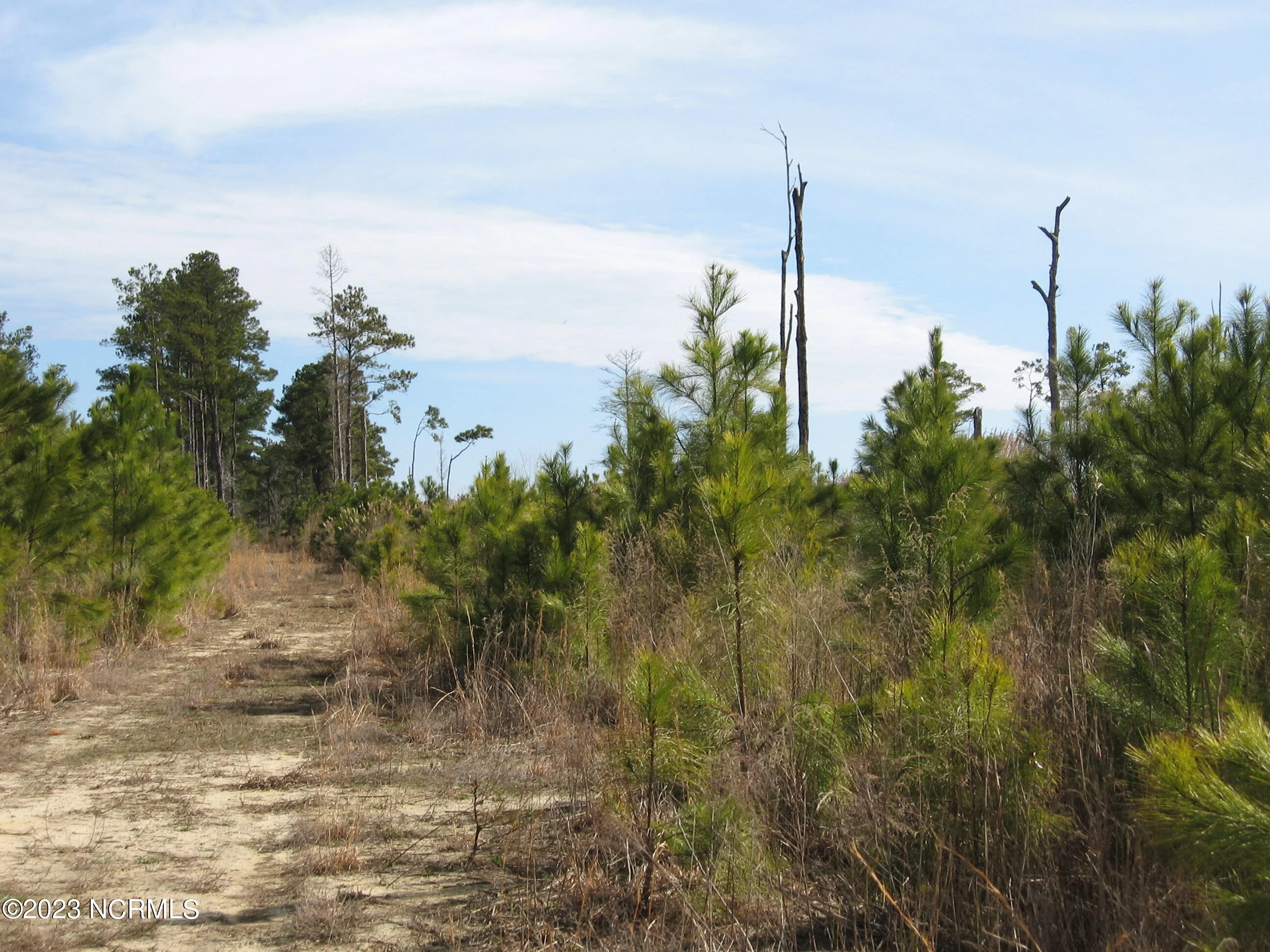 4161 Caratoke Highway, Barco, NC, 27917