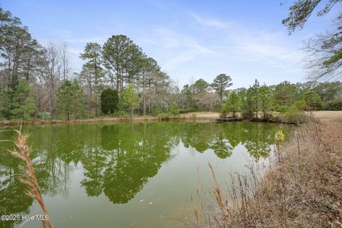 Tiny photo for 208 Morris Court, Jacksonville, NC 28540 (MLS # 100546888)