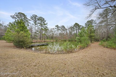 Tiny photo for 208 Morris Court, Jacksonville, NC 28540 (MLS # 100546888)