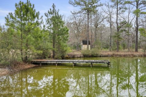 Tiny photo for 208 Morris Court, Jacksonville, NC 28540 (MLS # 100546888)