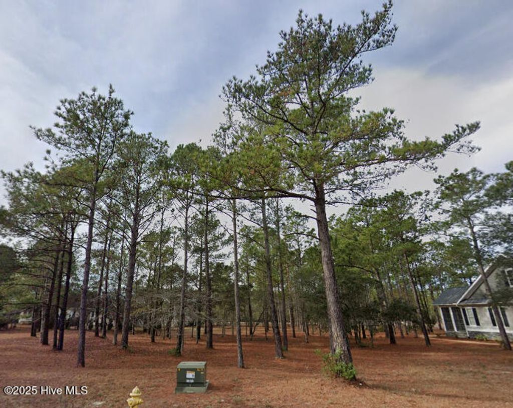 Photo of 6455 Kirkwall Point SW, Ocean Isle Beach, NC 28469 (MLS # 100519740)