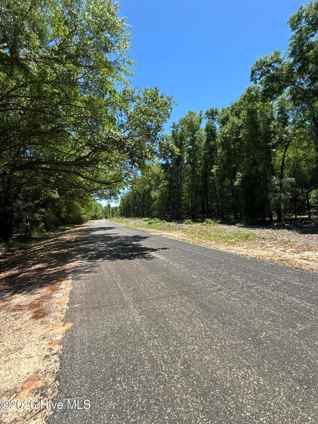 Photo of 0 Warbonnet Road, Springfield, SC 29146 (MLS # 100576453)