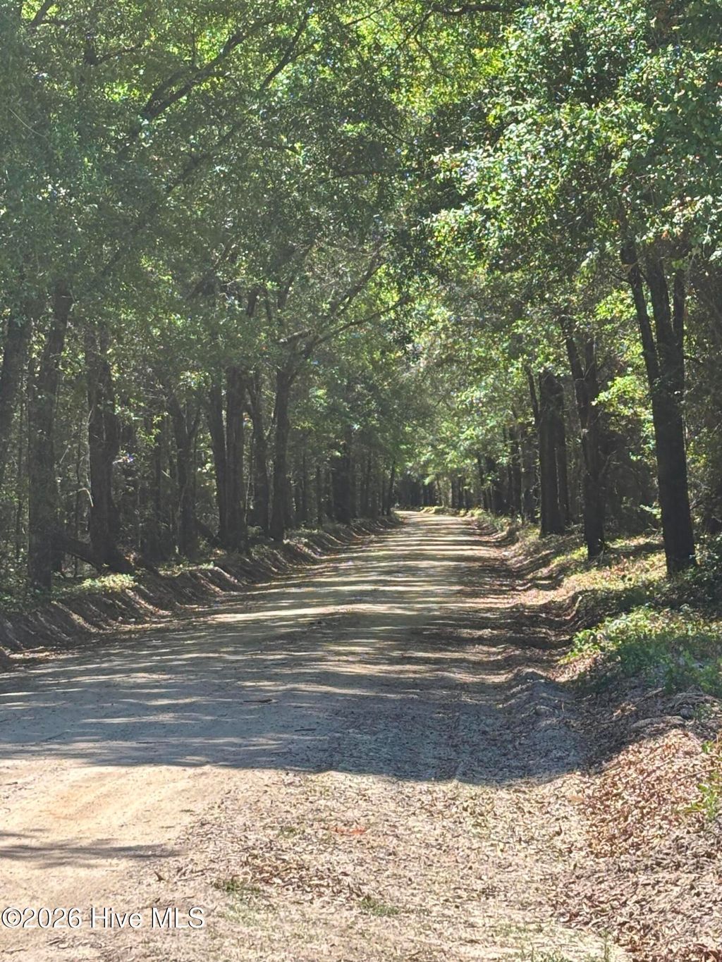 Photo of 0 Warbonnet Road, Springfield, SC 29146 (MLS # 100576453)