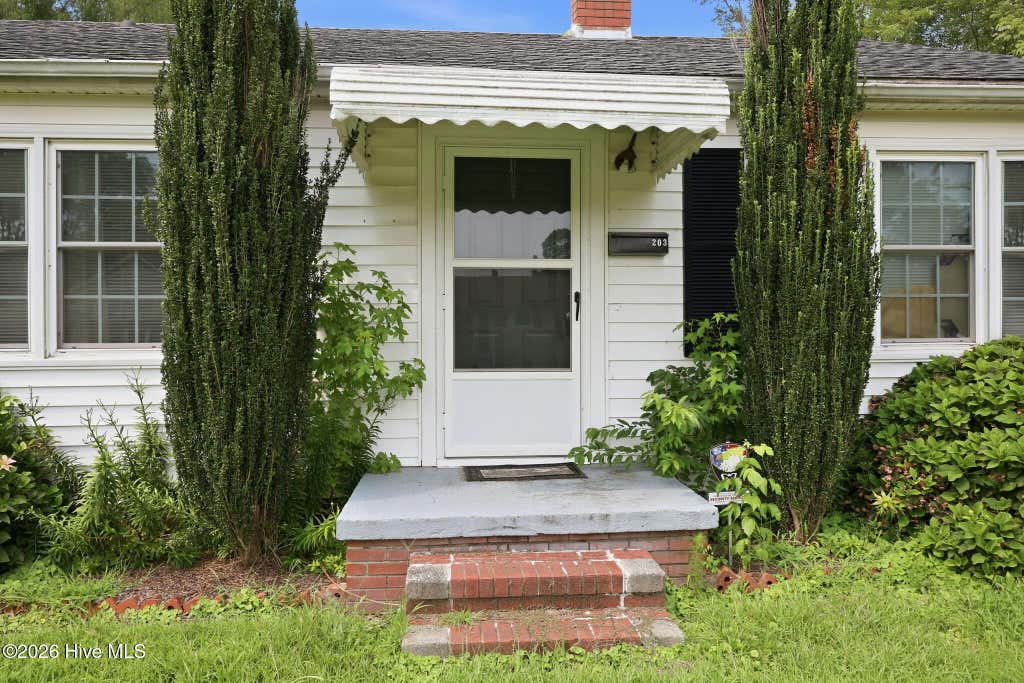 Photo of 203 Fairview Street, Williamston, NC 27892 (MLS # 100592402)