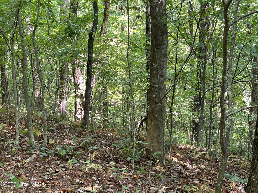 Photo of 8182 Licklog Road, Hayesville, NC 28904 (MLS # 100602151)