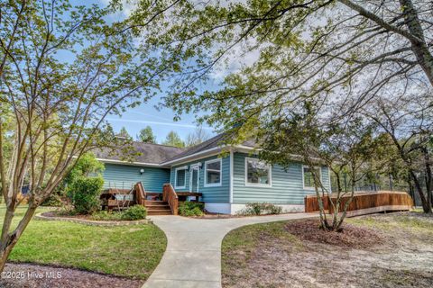 Tiny photo for 1469 Royal Tern Drive, Hampstead, NC 28443 (MLS # 100573984)
