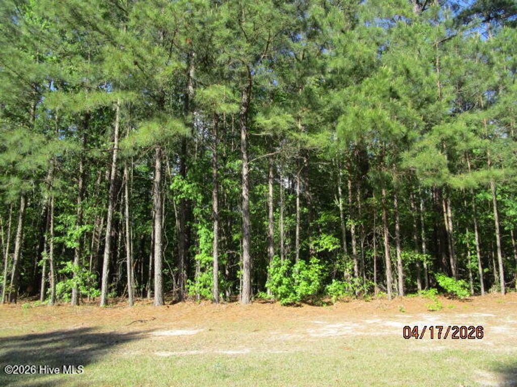 Photo of 47 Boshers Point Drive, Hertford, NC 27944 (MLS # 100568352)