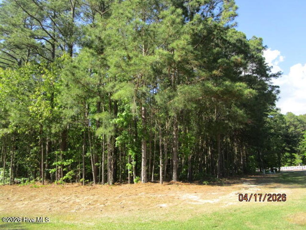 Photo of 47 Boshers Point Drive, Hertford, NC 27944 (MLS # 100568352)