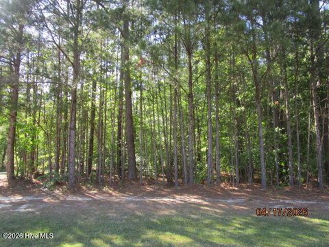 Vacant Land For Sale - 47 Boshers Point Drive<br/> Hertford, NC 27944