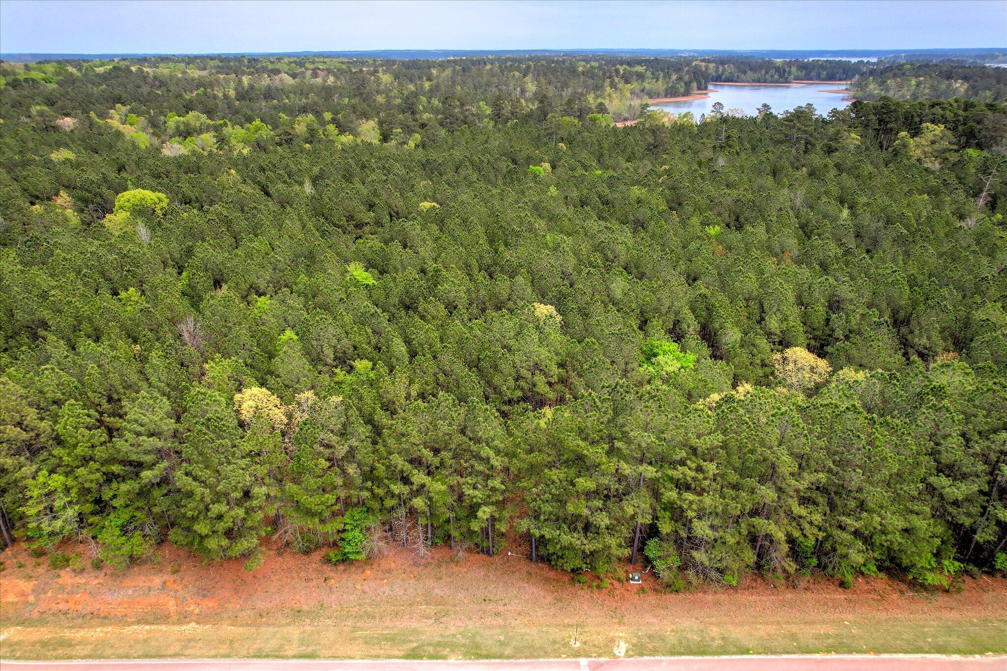 1066 Clinton-williams Road