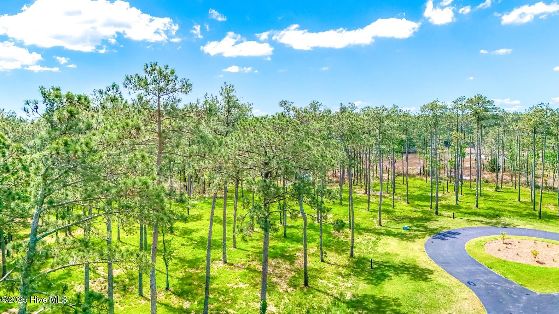 203 12 River Watch Road