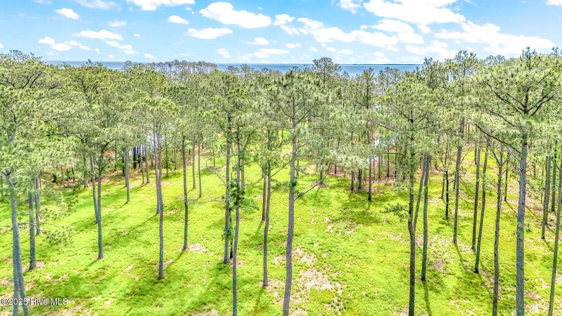 203 12 River Watch Road
