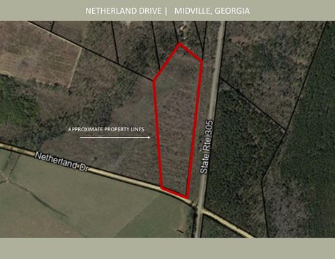 Vacant Land For Sale - Netherland Drive<br/> Midville, GA 30441