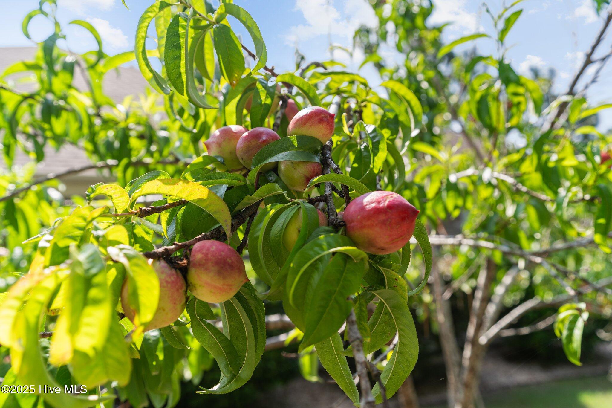 2347 Sugargrove Trail NE