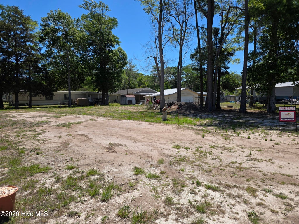 Photo of 2948 Dave Ray Street SW, Supply, NC 28462 (MLS # 100578770)