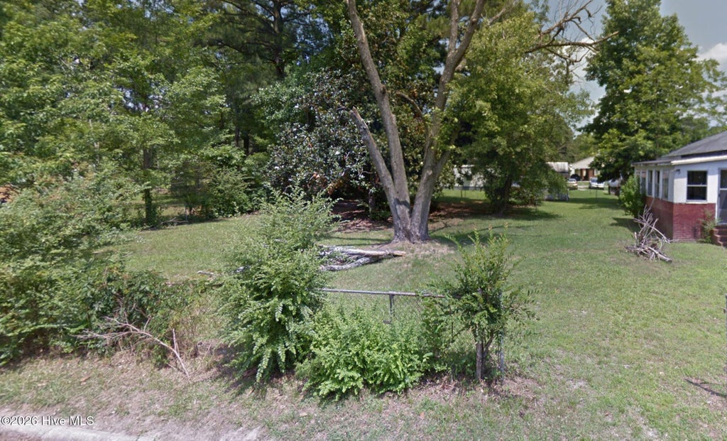 Photo of 1334 Elm Street, Scotland Neck, NC 27874 (MLS # 100604793)