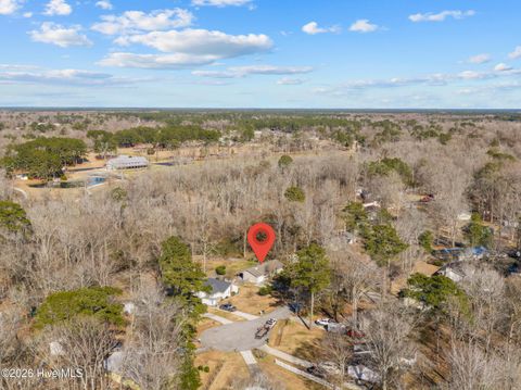 Tiny photo for 193 Winter Place, Jacksonville, NC 28540 (MLS # 100550841)