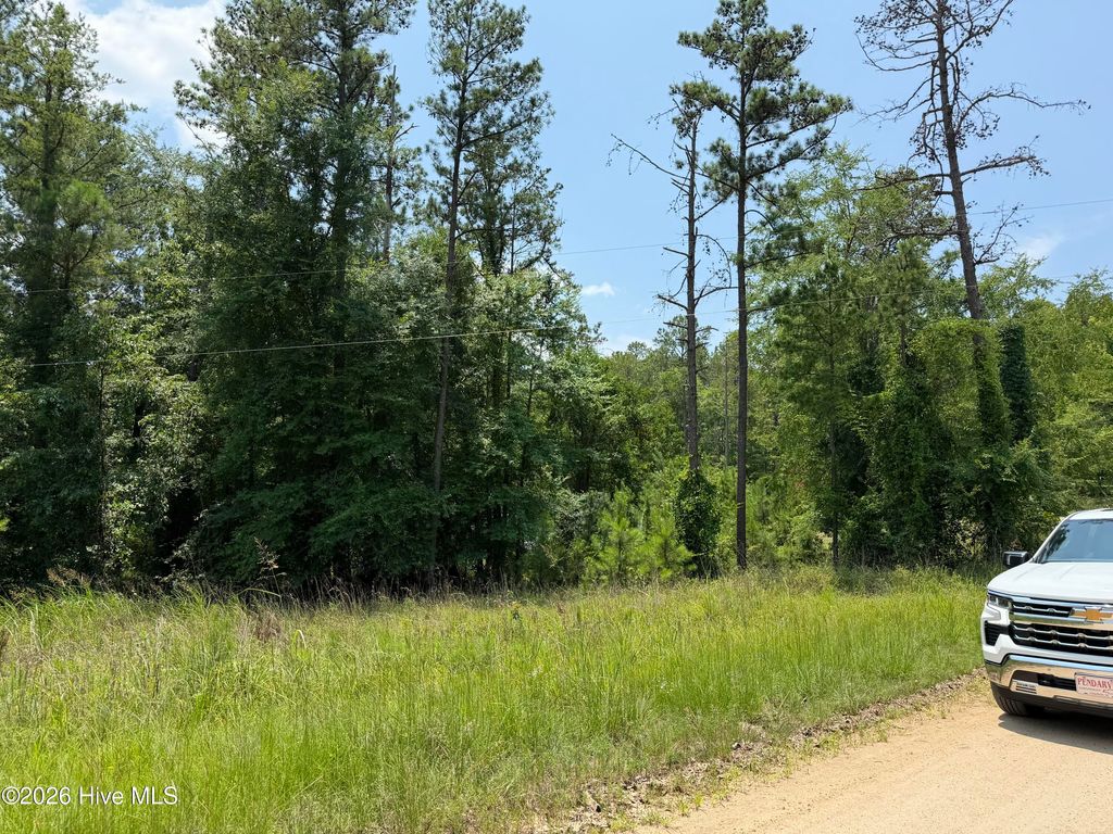 Photo of 0 Burks Mountain Road, Appling, GA 30802 (MLS # 100586342)