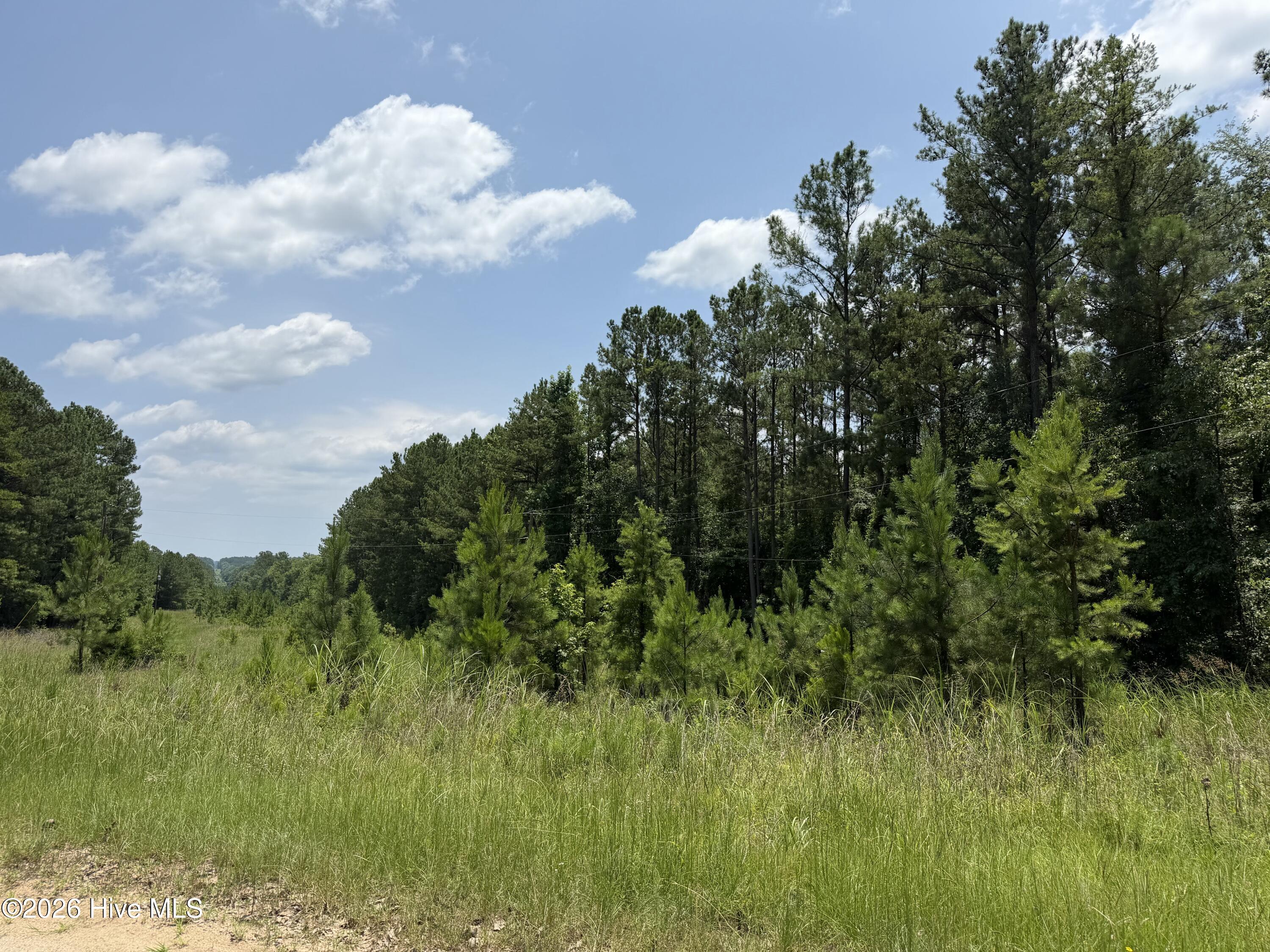 0 Burks Mountain Road