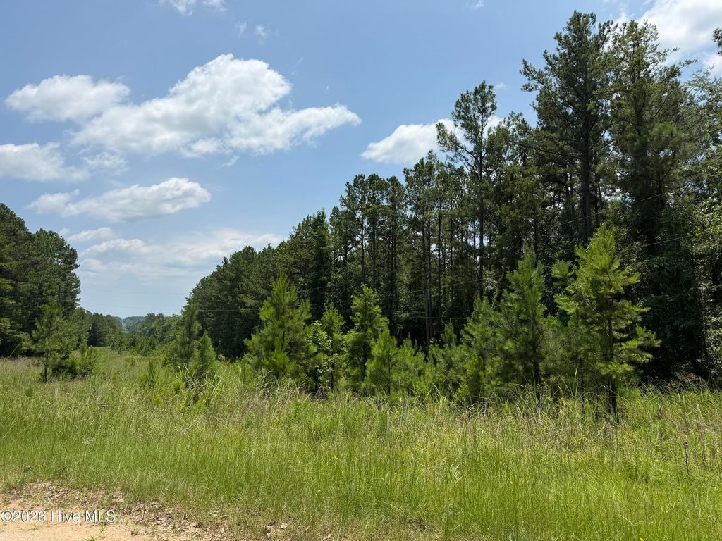 Photo of 0 Burks Mountain Road, Appling, GA 30802 (MLS # 100586342)