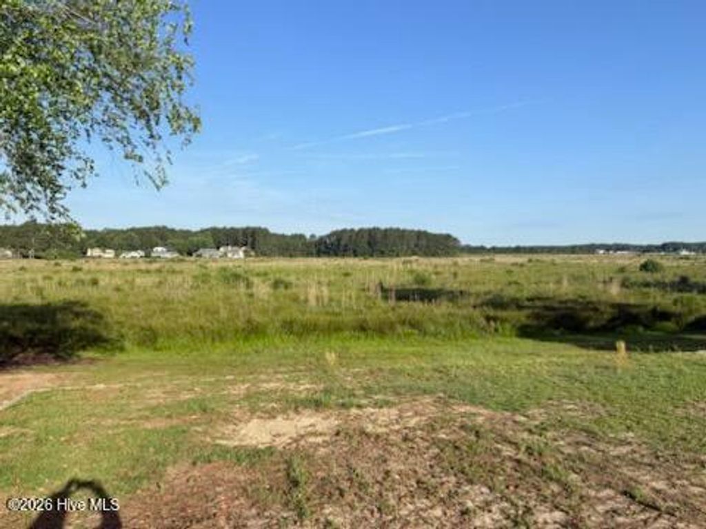Photo of 831 Castleberry Court, Vass, NC 28394 (MLS # 100577560)