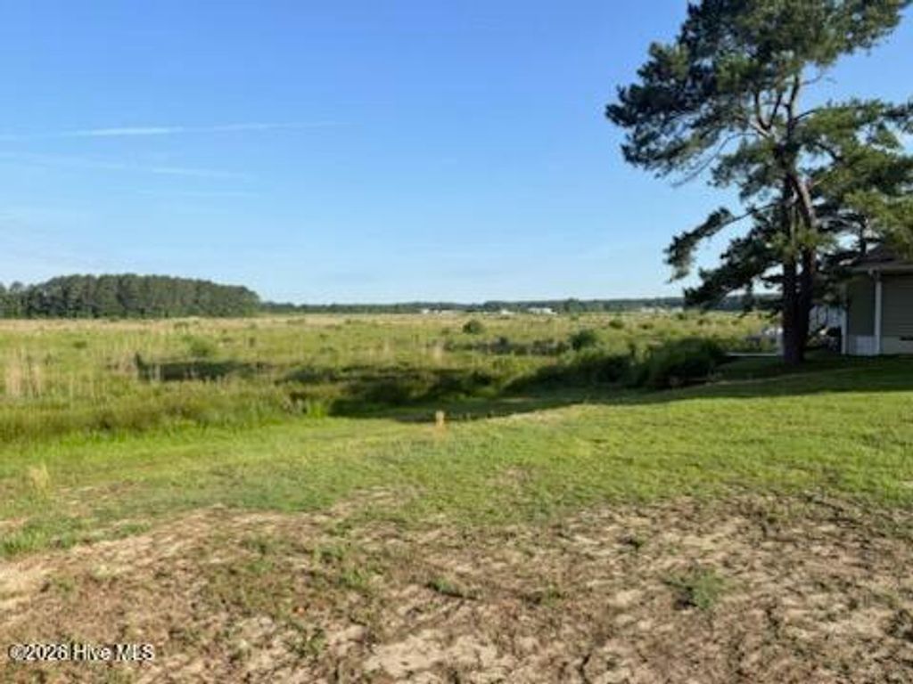 Photo of 831 Castleberry Court, Vass, NC 28394 (MLS # 100577560)