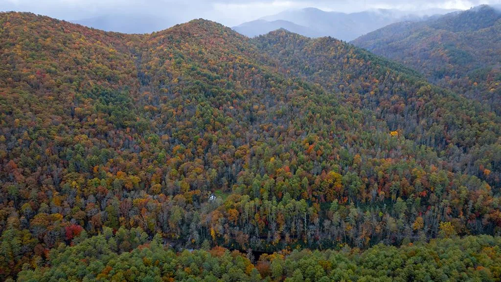 139 Land Iu Gap Road