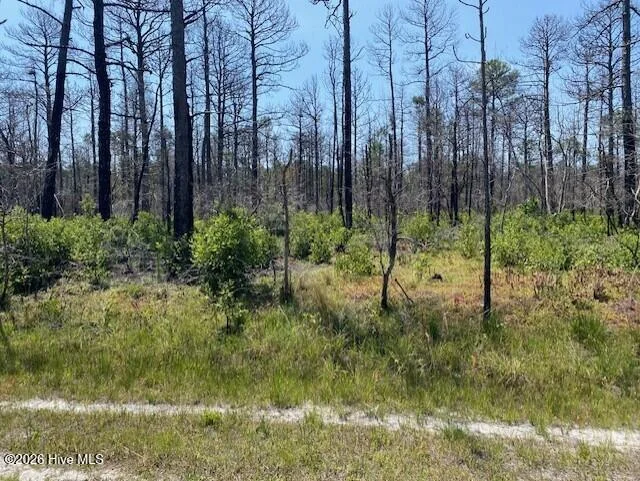 799 Jasmine Road, Boiling Spring Lakes, NC, 28461