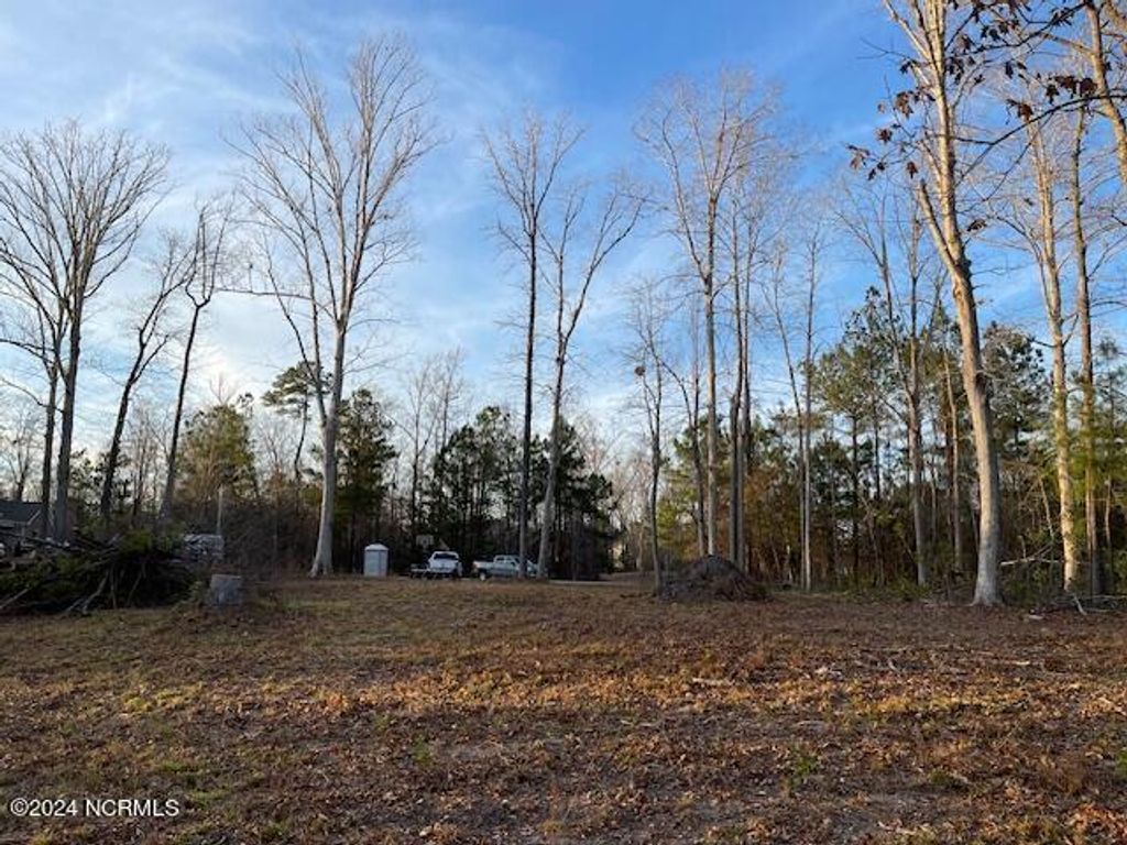 Photo of 109 Barry Lane, Jacksonville, NC 28540 (MLS # 100446082)