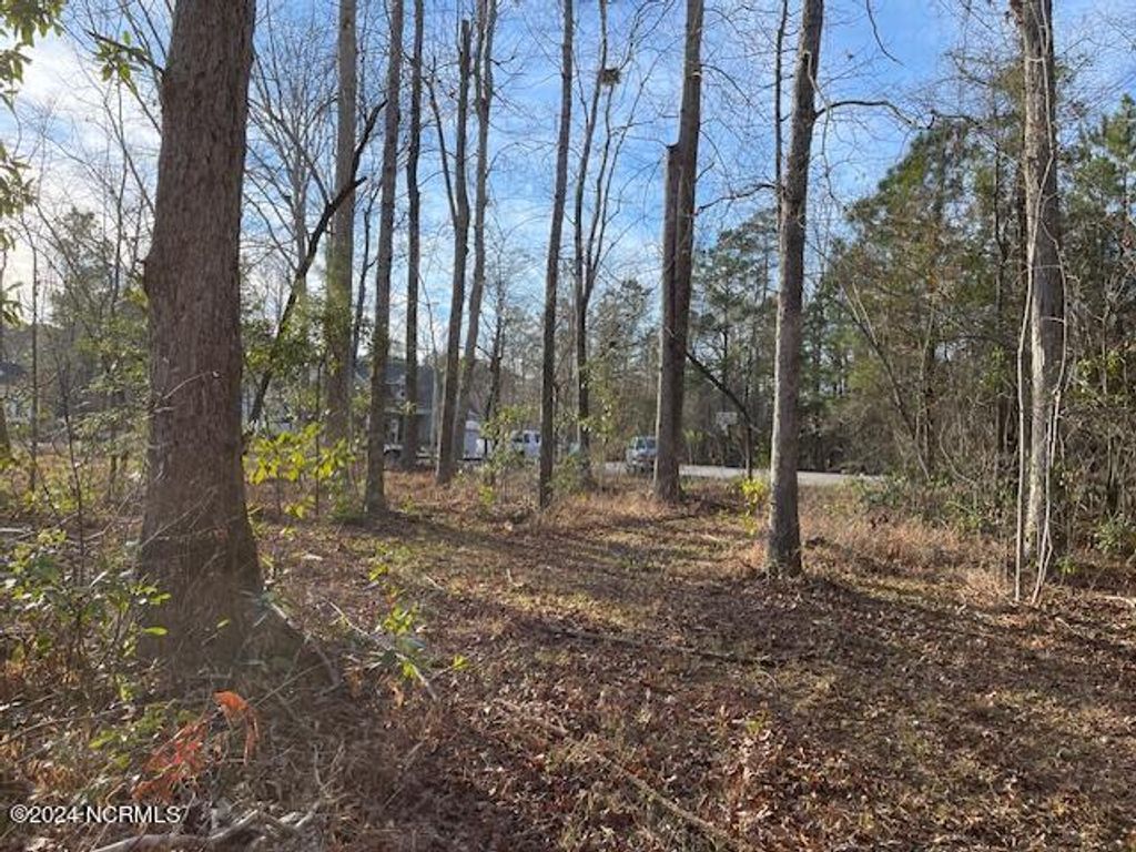 Photo of 109 Barry Lane, Jacksonville, NC 28540 (MLS # 100446082)