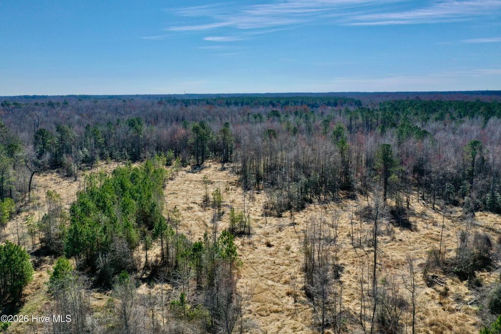 Photo of 0 Near 2034 Haynes Len, Cerro Gordo, NC 28430 (MLS # 100556720)