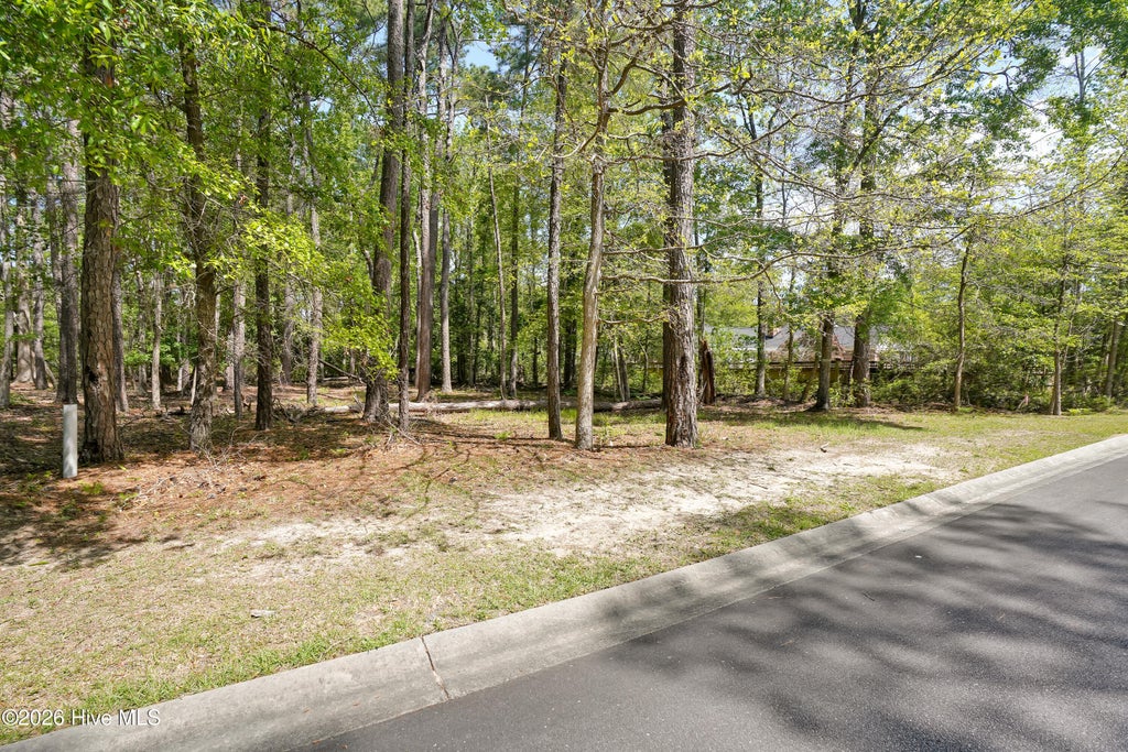 Photo of 3496 Fairway Crest Drive SW, Shallotte, NC 28470 (MLS # 100604565)