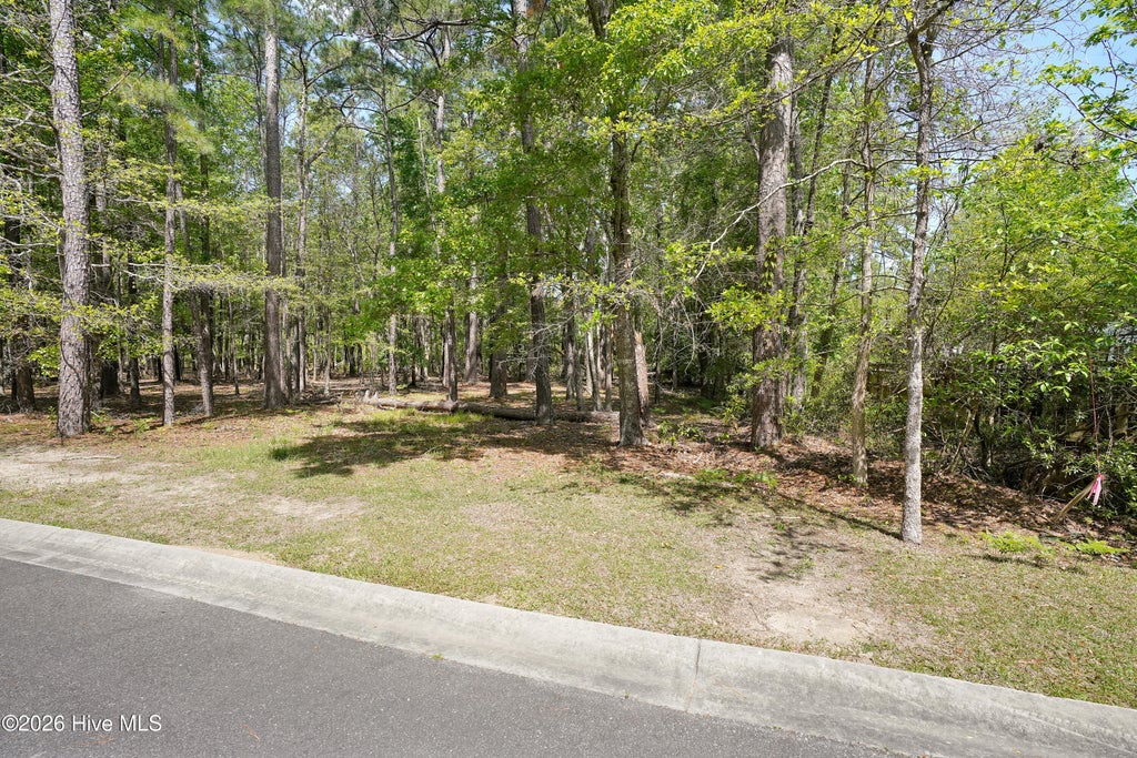 Photo of 3496 Fairway Crest Drive SW, Shallotte, NC 28470 (MLS # 100604565)