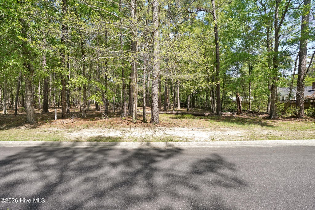 Photo of 3496 Fairway Crest Drive SW, Shallotte, NC 28470 (MLS # 100604565)