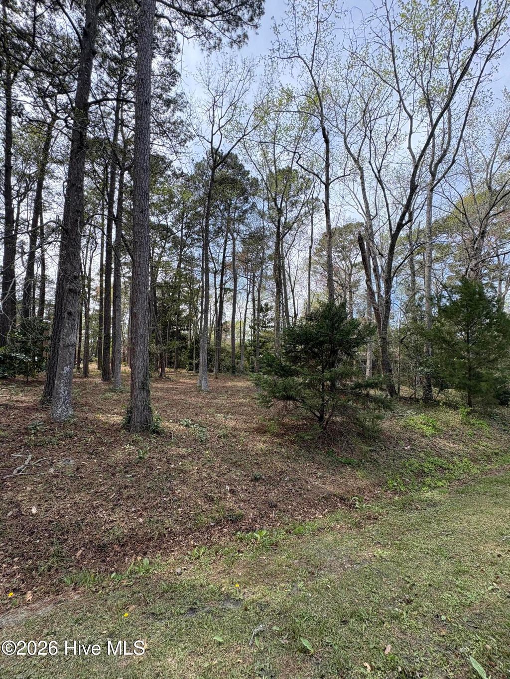 Photo of 77 Carolina Shores Drive, Carolina Shores, NC 28467 (MLS # 100562281)