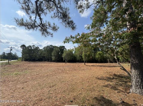 Tiny photo for 1187 Green Hill Road NE, Leland, NC 28451 (MLS # 100584912)