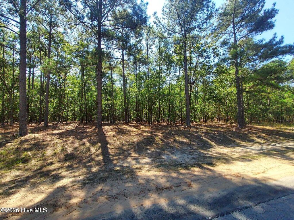 Photo of 34 Peach Orchard Road, Wagram, NC 28396 (MLS # 100550403)