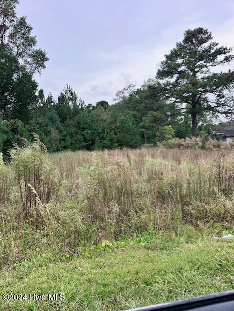 Vacant Land For Sale - 00 Kellumtown Road<br/> Onslow County, Hubert, NC 28539