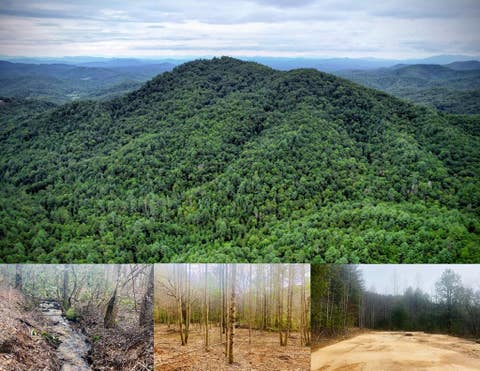 Vacant Land For Sale - Flea Mountain Road<br/> Murphy, NC 28906