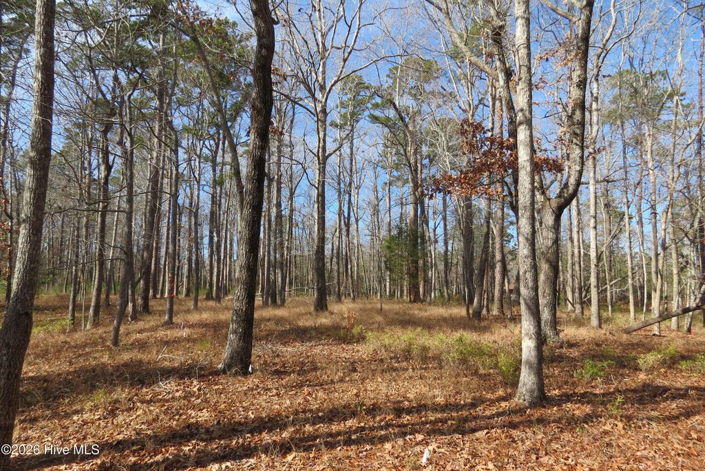 Photo of 280 Winding Creek Drive, Oriental, NC 28571 (MLS # 100551485)