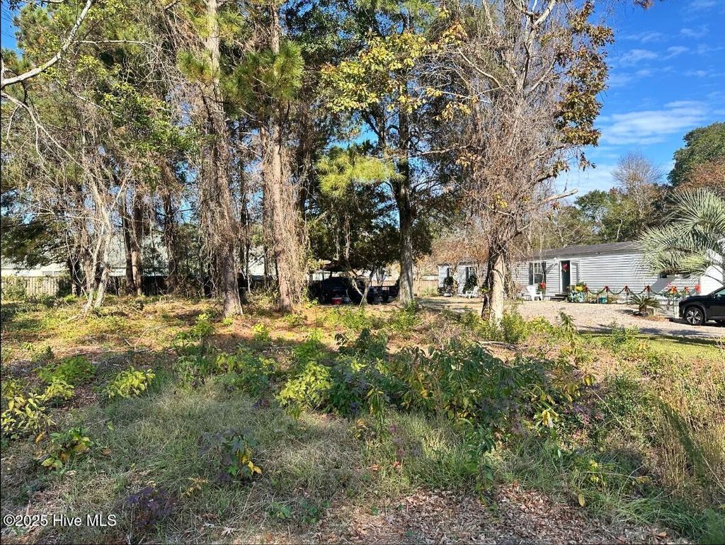 Photo of 9202 Shady Forest Drive, Calabash, NC 28467 (MLS # 100532050)