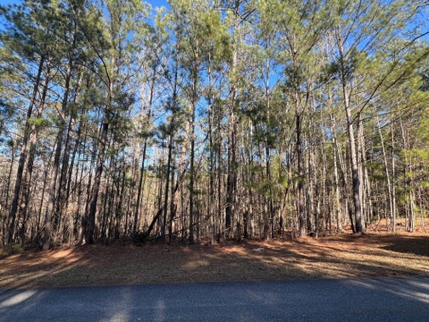 Vacant Land For Sale - 24-17 Madison Dr. Drive<br/> McCormick, SC 29835