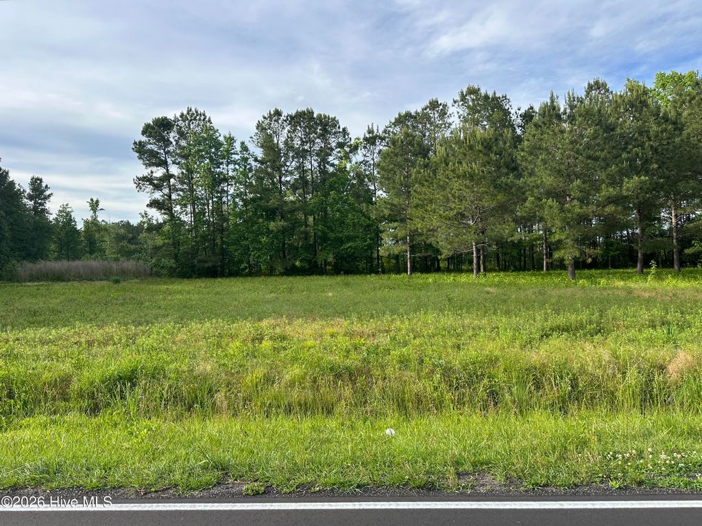 Photo of 594 Big Cypress Road, Nakina, NC 28455 (MLS # 100575269)