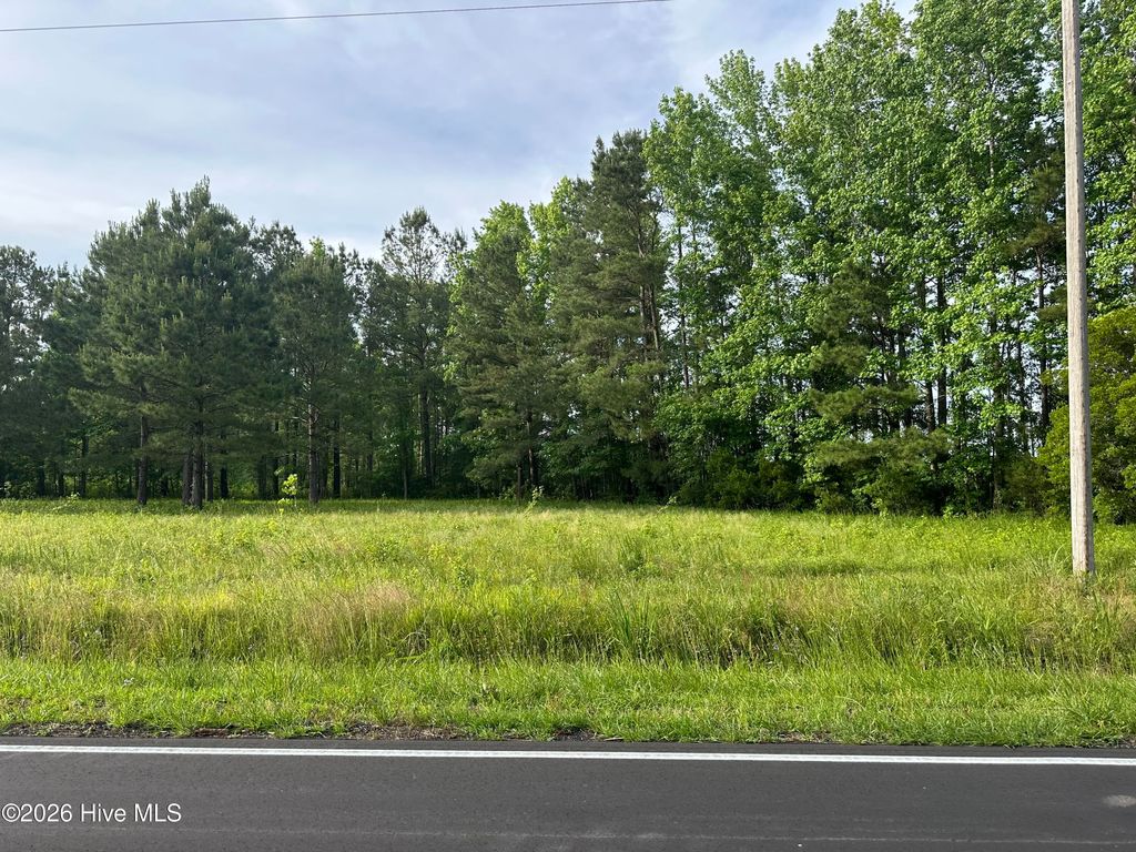 Photo of 594 Big Cypress Road, Nakina, NC 28455 (MLS # 100575269)