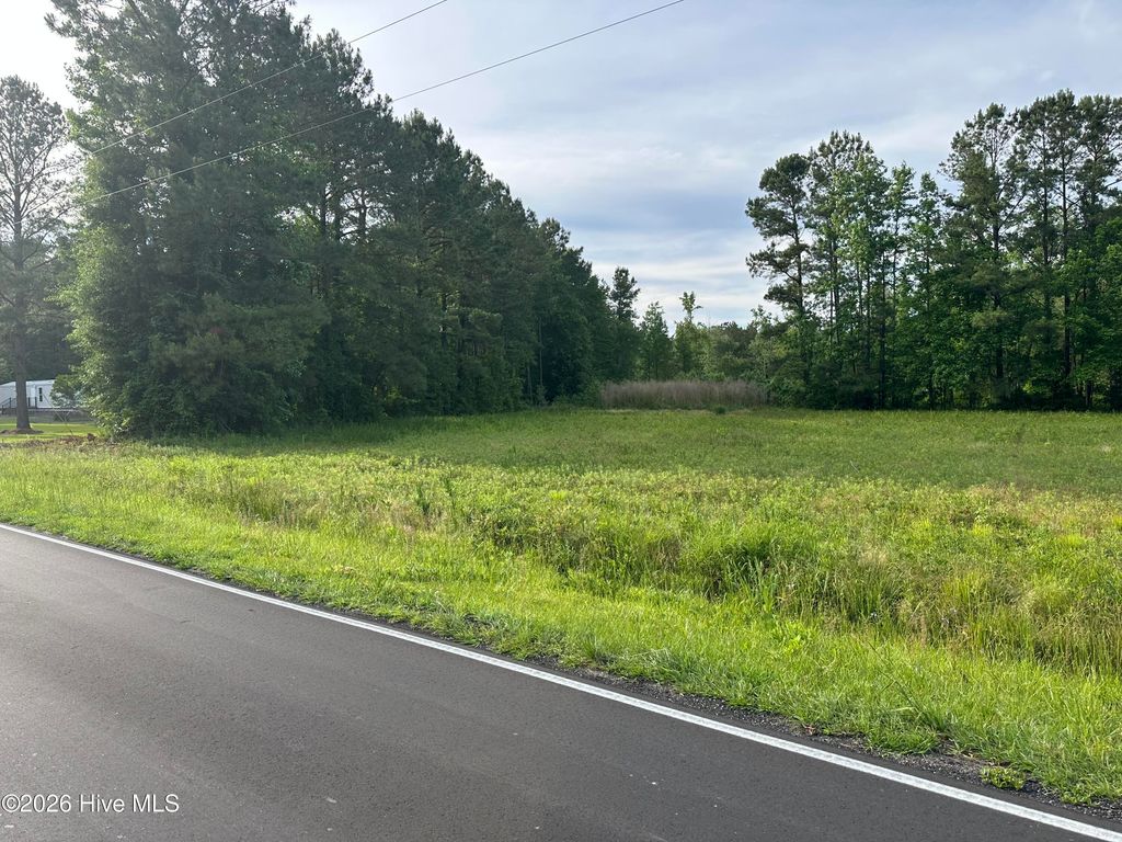 Photo of 594 Big Cypress Road, Nakina, NC 28455 (MLS # 100575269)