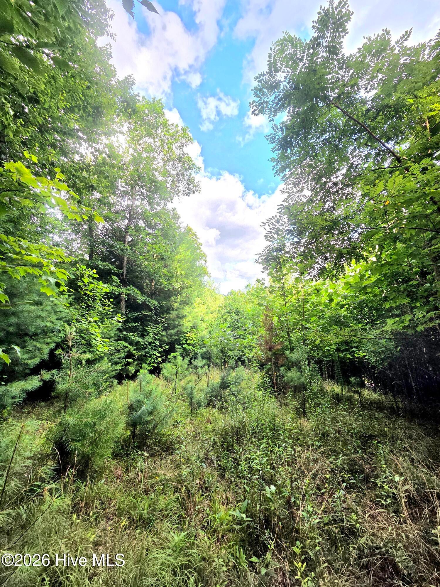 50 Camp Branch Road, Topton, NC, 28781